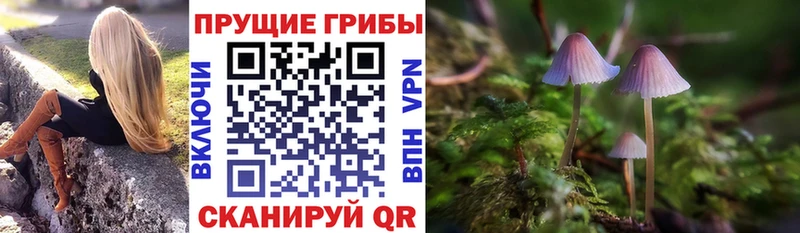 это какой сайт купить закладку Серов Галлюциногенные грибы Psilocybine cubensis